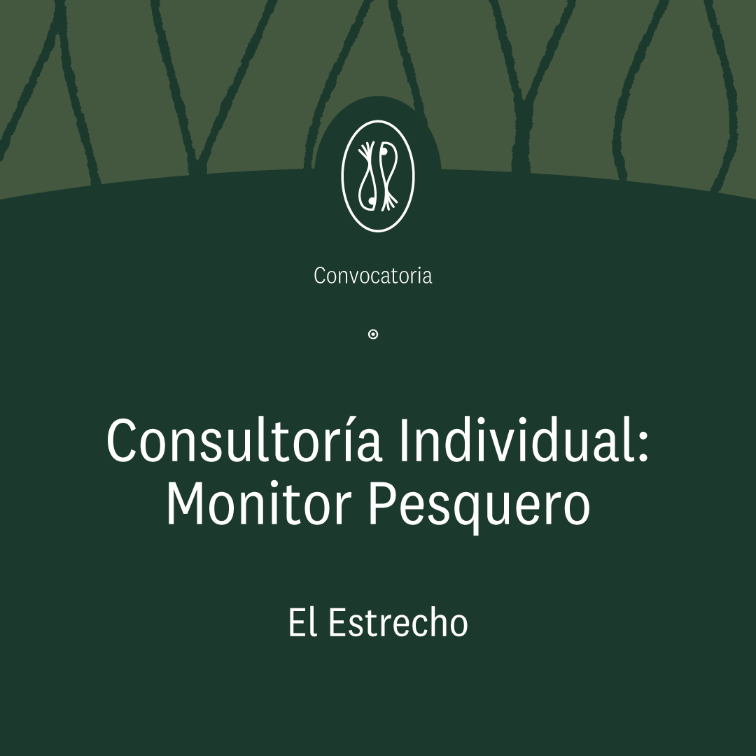 Más información
