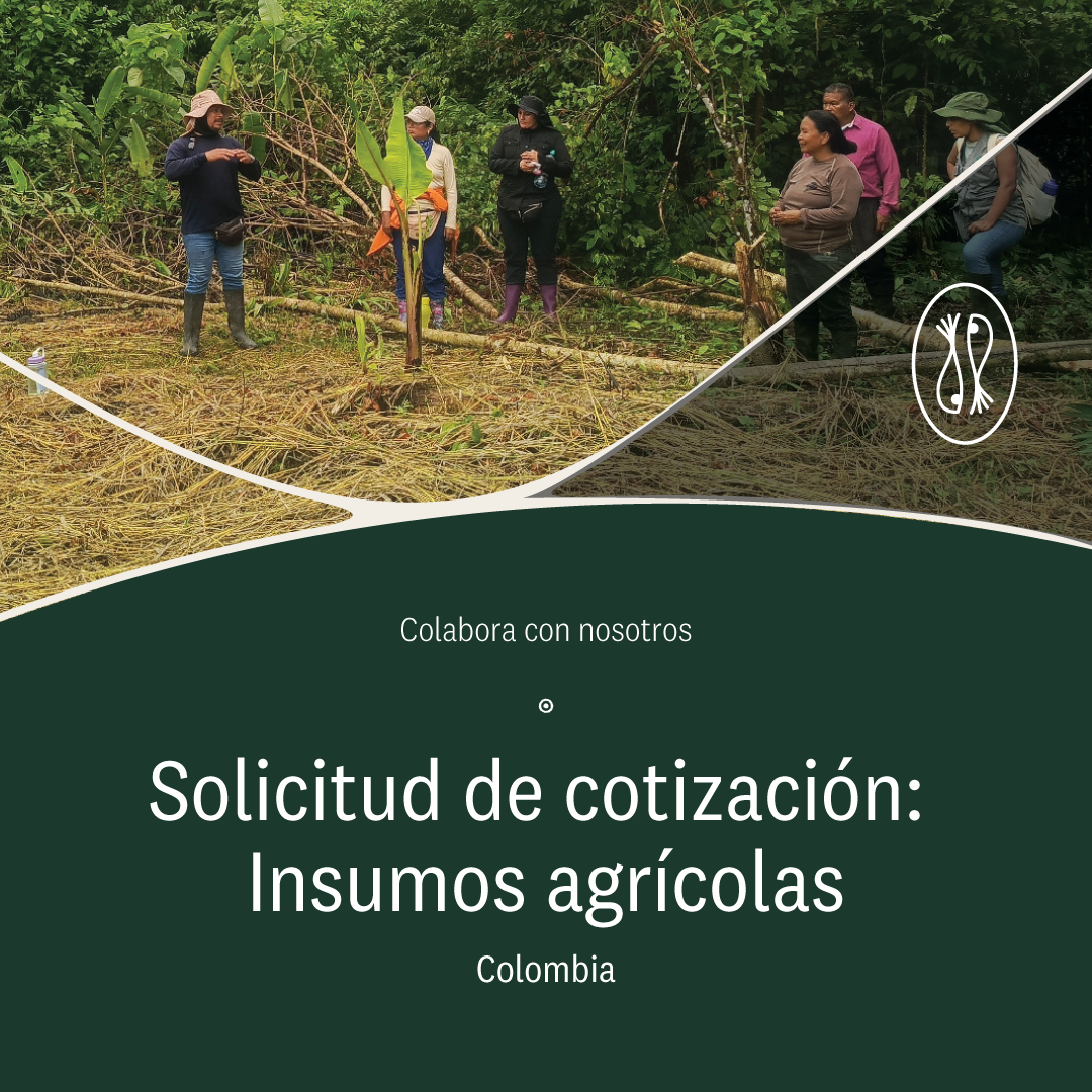 Más información